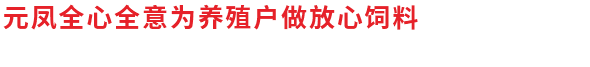 湖北魚(yú)飼料廠(chǎng)家